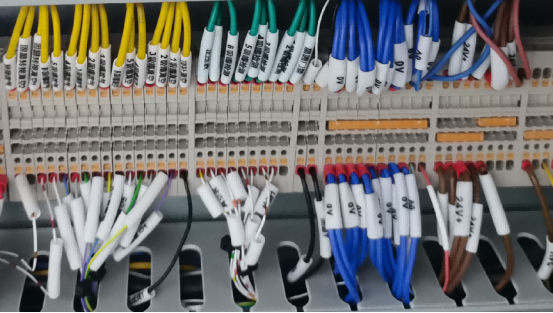 1769497144922856.png 10.png